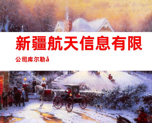 新疆航天信息有限公司库尔勒分公司